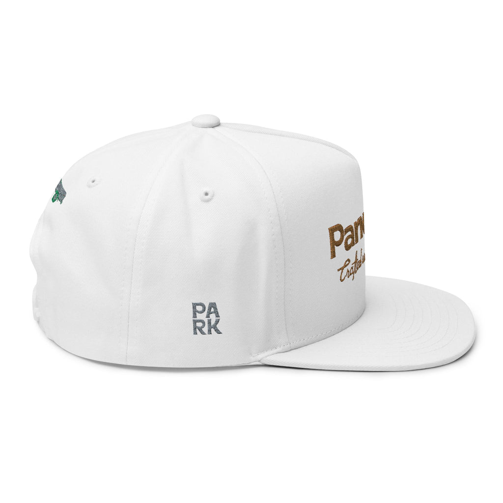 Park Dad Embroidered Flat Bill Cap