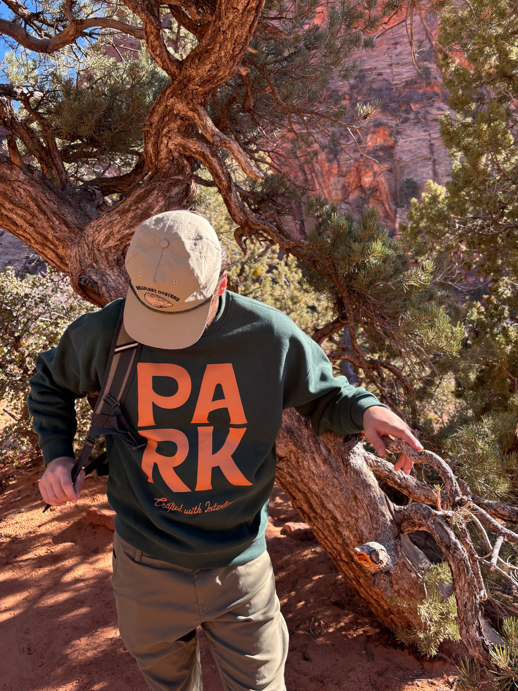 Person wearing a sweatshirt with 'PARK' on it, standing in a natural landscape with trees and rock formations.