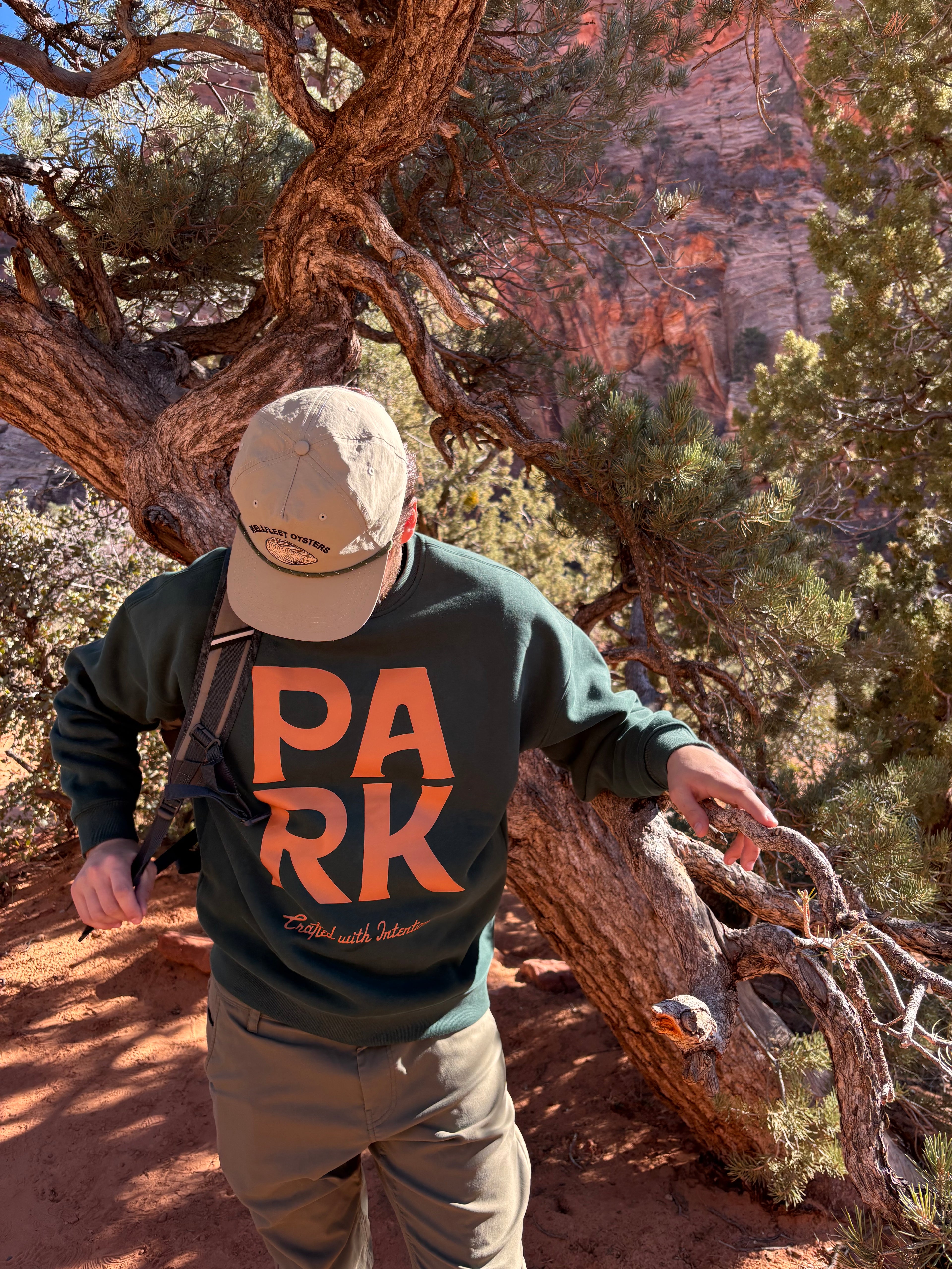 Person wearing a sweatshirt with 'PARK' on it, standing in a natural landscape with trees and rock formations.
